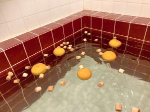 Pension Todoroki - Check-in and Check-out