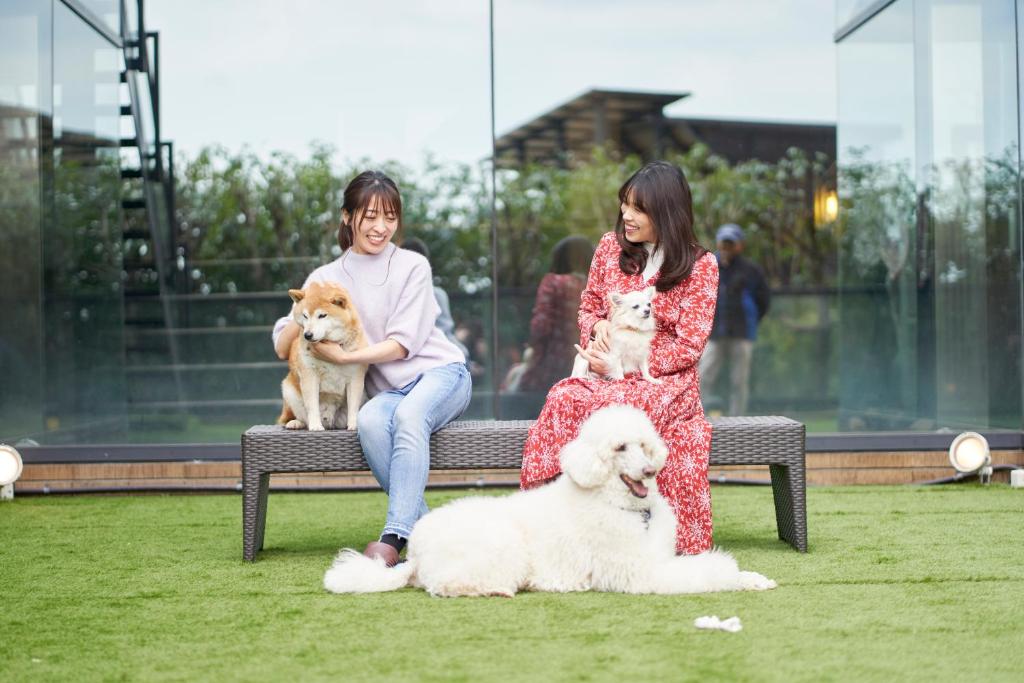Pet & Spa Hotel Izukogen Review