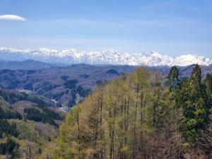 Pineapple House - Frequently Asked Questions