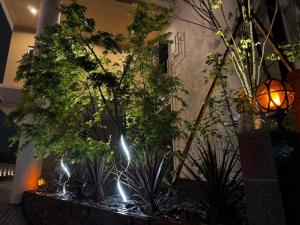 Resort Stay Spa Tsurumi - Frequently Asked Questions