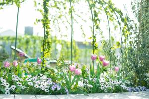 ROYAL CHESTER NAGASAKI Hotel&Retreat - Accommodation Options