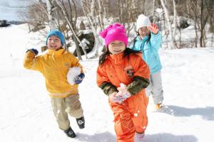 Shiga Kogen Olympic Hotel - Accommodation Details