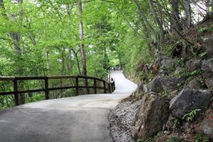 Shomarutoge Garden House - Hotel Services and Facilities