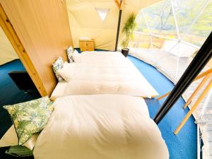 SPRINGS VILLAGE Ashigara Tanzawa Onsen Resort & Glamping - Policies and Check-in/Check-out