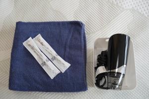 The Hakuba Station Room - General Amenities