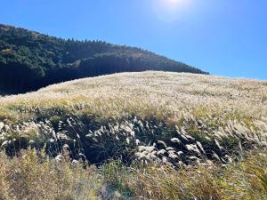 Trip7 Hakone Sengokuhara Onsen Hotel - Guest Reviews and Ratings