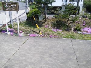 Villa Kubota - Guest Feedback and Ratings