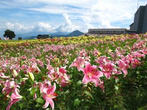 Yuzawa Toei Hotel - Policies and Information