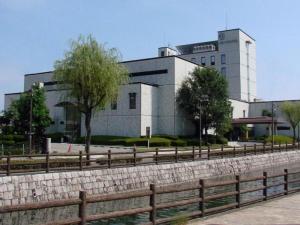 Ako Royal Hotel - Dining and Dining Options