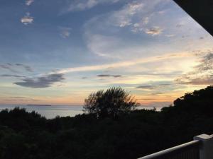 Churaumi Terrace - Accessibility Information