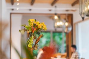 Coral Trap Island - Activities Available