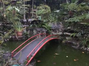 COZY Inn Free Shuttle Service - Serene Atmosphere and Traditional Setting
