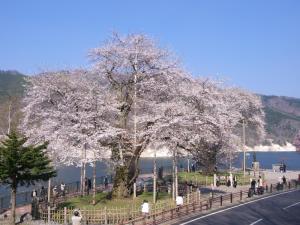Hotel Ryu Resort and Spa - Frequently Asked Questions