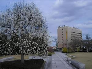 Hotel Sealuck Pal Mito - Check-in and Check-out Policies