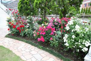 Hotel Sunlife Garden - Policies and Regulations