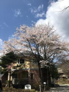 Ikoi Guesthouse Review: Comfort and Value - Payment and Licensing Information