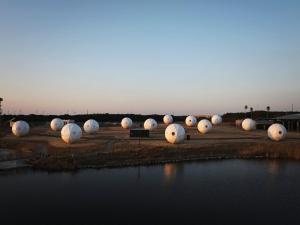 INN THE PARK Fukuoka - Activities and Recreation