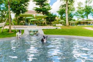 Koyaru-no-sato Doggys Island - Frequently Asked Questions