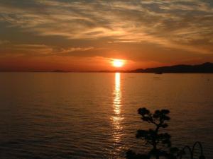 MISAKI TERRACE - Property Highlights