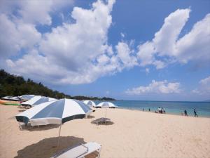 Miyuki Hamabaru Resort - Dining Experience