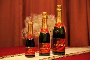 Piccolo Hotel Opera Karuizawa - Amenities and Facilities