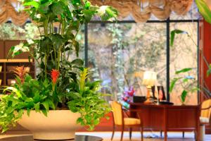 Quintessa Hotel Sasebo - Policies and Fees