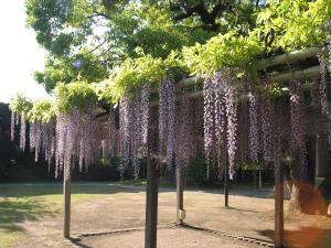 Suikouen Hotel - Hotel Policies