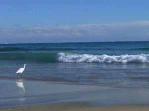 Sunshine Shirako New - Dining Options