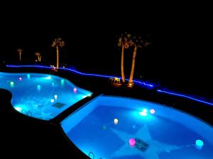 Tanegashima Iwasaki Hotel - Dedicated Guest Service and Support