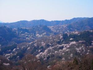 Canadian Loghouse Inn AzuminoYujin - Policies and Booking