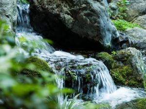 Japanese Onsen Ryokan Kohakuen - Frequently Asked Questions