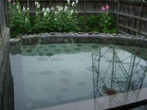 Kinugawa Niouson Plaza Hotel - Accommodations and Amenities