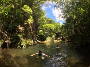 NEST Iriomote - Frequently Asked Questions