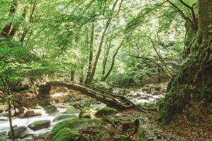 NIPPONIA Kosuge Village - Facilities and Amenities