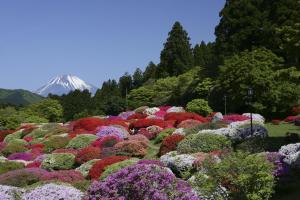 Odakyu Hotel De Yama - Frequently Asked Questions
