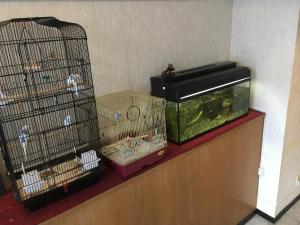 Okinawa Hotel Continental - Frequently Asked Questions
