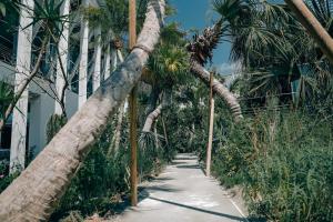 BOTANICAL POOL CLUB - Location and Surroundings