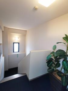 Business Hotel Azuma - Frequently Asked Questions