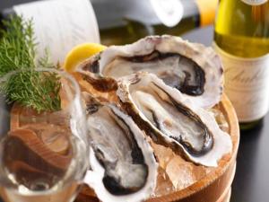 Ikadasou Sanjou - Family-Friendly Features