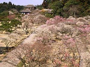 Mimatsu Annex - Nearby Attractions