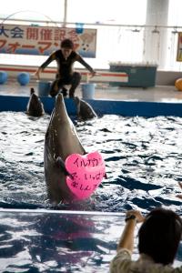 Shibushiwan Daikoku Resort Hotel - Destination Overview