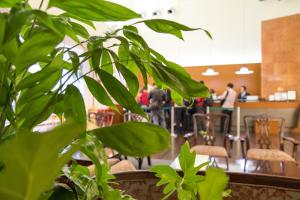 Sun Palace Hotel - Dining Options