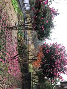 Apple Source Stream - Amenities and Services