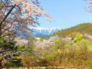 Azumino Hotaka View Hotel - Guest Reviews and Experiences