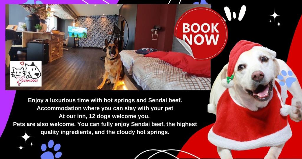 Hakone Gora Guam Dog - Good To Know