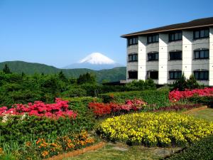 Hotel Green Plaza Hakone Review
