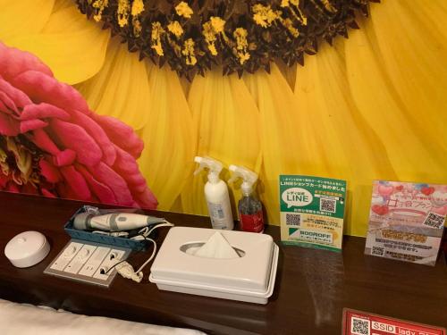 Hotel Lady - Accommodation Details
