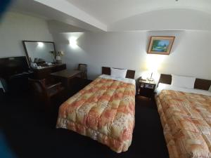 Hotel New Plaza Kurume - Hotel Overview