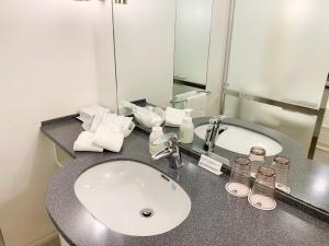 Hotel Nikko Niigata Review