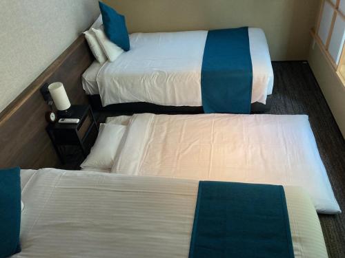 Hotel Sengokuhara 533 - Good To Know
